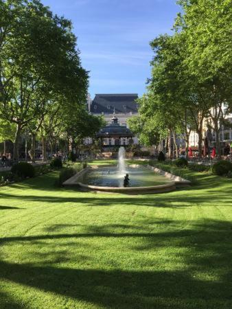 Le Cosy Central Moderne Et Chaleureux Saint-Etienne  Exterior photo